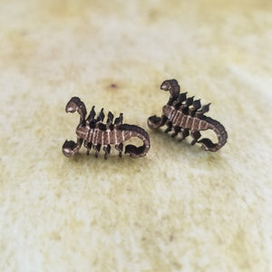 Scorpion Maple Wood Stud Earrings - Designodeal